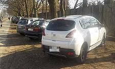 Jak odzyskać trawniki? Tysiące interwencji straży miejskiej