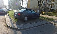 Jak odzyskać trawniki? Tysiące interwencji straży miejskiej