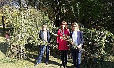 Zielone igloo w parku Wiecha