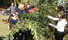 Zielone igloo w parku Wiecha