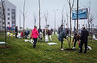 Dużo nowości w parku Górczewska. Na początek... drzewa