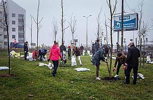 Dużo nowości w parku Górczewska. Na początek... drzewa