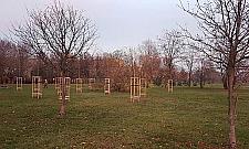 Dużo nowości w parku Górczewska. Na początek... drzewa