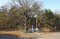 Nowy park w Legionowie? "Nie wytniemy żadnego drzewa"