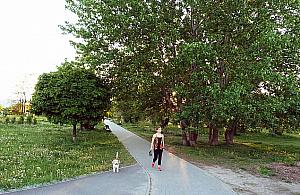 Nowy park na Białołęce? Podpisz petycję