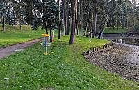 Wawer stolicą disc golfa? Mamy największe pole w Warszawie