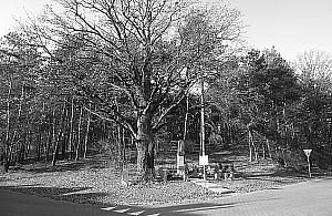 Tereny lasku w cieniu tragicznej historii. Jak ją upamiętnić?