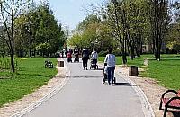 Nowy park dla Targówka? Zamiast ogródków działkowych