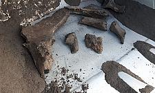 Mamy tu mamuta. Odkrycie na budowie metra