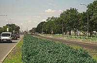 Tak ma wyglądać Połczyńska