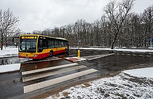 Podleśna odmieniona. "Progi na wniosek mieszkańców"