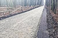 Droga przez las Sobieskiego. "Robicie z lasów galerię ze ścieżkami"