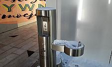 Na Wolską wraca życie