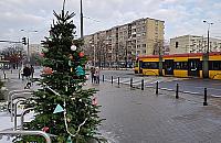 Kto ukradł święta? Z Muranowa znikła choinka