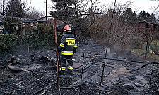 Ogień na działkach. "Nikt nie został odnaleziony"