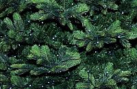 Co zrobić z uschniętą choinką? "Pozyskamy bioenergię"