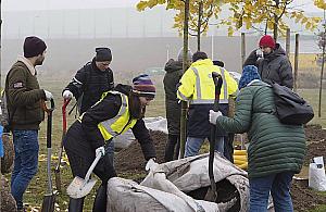 Drzewa, krzewy, kwiaty. Ogrodnicy podsumowali sezon