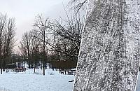 "Szklanka" w parku Górczewska. "Odśnieżymy, jak przestanie padać"