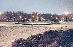 Wycinka w parku Bródnowskim. "Znowu będzie pustynia"