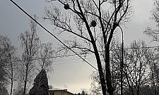 Kabel wisi tuż nad ulicą. "Tak się kończą prowizorki"