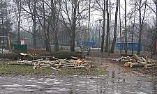 Wycięli drzewa w parku Picassa. "Nie mieliśmy wyboru"