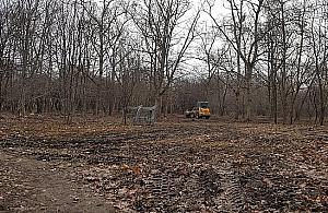 Piły poszły w ruch. Co z nowym parkiem?