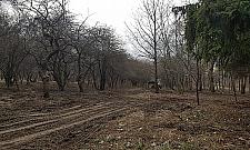 Piły poszły w ruch. Co z nowym parkiem?