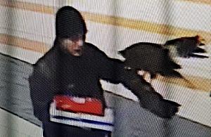 Ukradł drapieżnego ptaka. Szybko tego pożałował