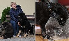 Stróż olbrzym poszukuje domu na Białołęce