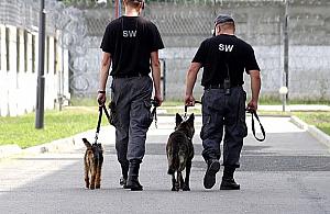 Przy Ciupagi powstanie uczelnia