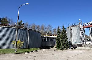 Śmierdząca Cyraneczka. "Ludzie przesadzają"