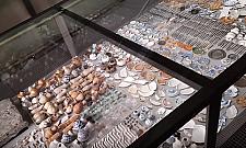 Kości mamuta na stacji metra. Przyciągną turystów?