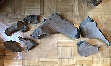 Kości mamuta na stacji metra. Przyciągną turystów?