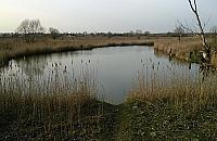 Ostatnie chwile wypoczynku nad Jeziorem Żabim