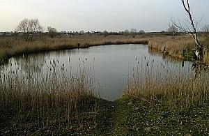 Ostatnie chwile wypoczynku nad Jeziorem Żabim