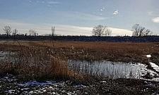 Z parku nici. Mieszkanie Plus nad Wisłą