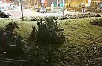 Rusza budowa metra. 665 drzew pod topór