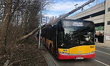 Drzewo spadło na autobus