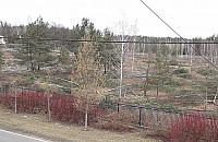 Zakonnice wycięły lasek. "Podobno będą bloki"