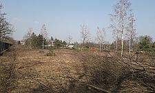 Zakonnice wycięły lasek. "Podobno będą bloki"