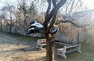 Motodrzewo z Targówka. Nowy rekord wandalizmu