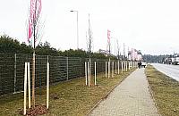 Idzie wiosna. 170 drzew na początek