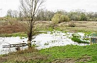 Nie wolno im budować, nie mogą sprzedać. Absurd z Wawra