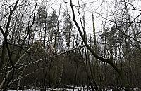 Wielka wycinka w lesie Bródnowskim. "Natura sobie nie radzi"