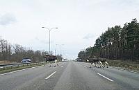 Przystanek Alaska na Bia�o��ce. "Uwa�ajcie na siebie"