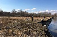 NIE dla plaży na Bielanach? Opanowały ją jaskółki