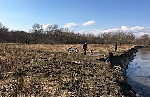 NIE dla plaży na Bielanach? Opanowały ją jaskółki