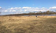 NIE dla plaży na Bielanach? Opanowały ją jaskółki