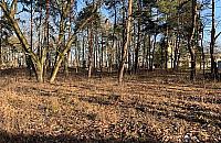 Osiedle domków w Lesie Bemowskim? "Sprawy zaszły za daleko"