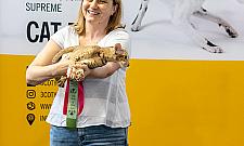 Święto kotomaniaków. Zobacz zdjęcia